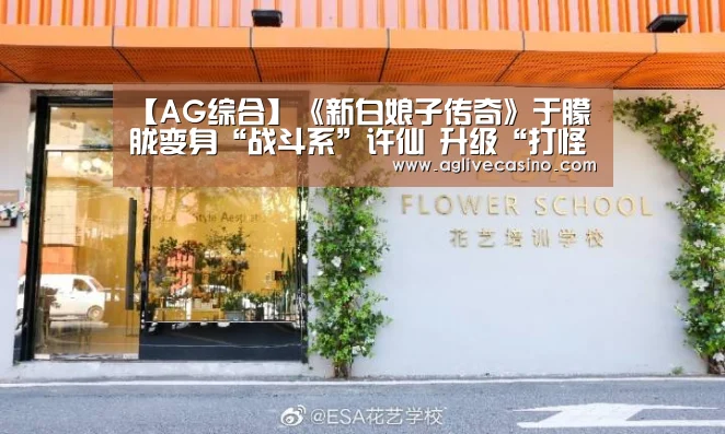 AG综合
