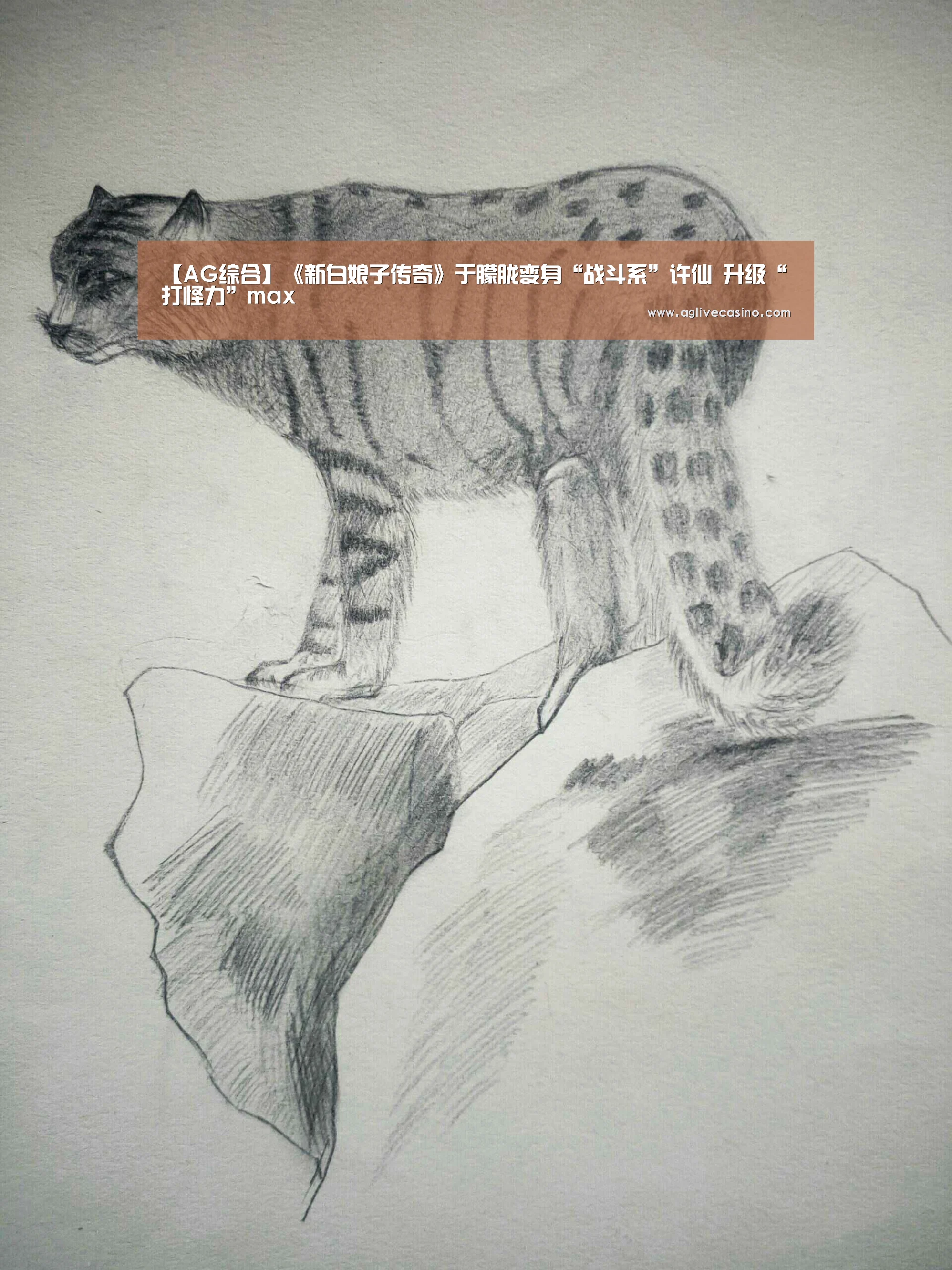 AG直达