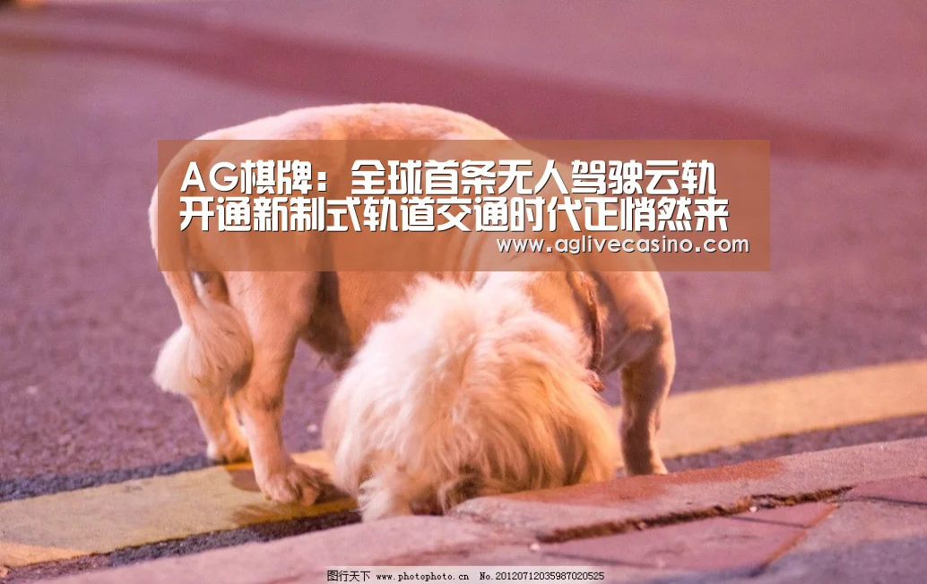 AG棋牌:全球首条无人驾驶云轨开通新制式轨道交通时代正悄然来临(图1) AG综合