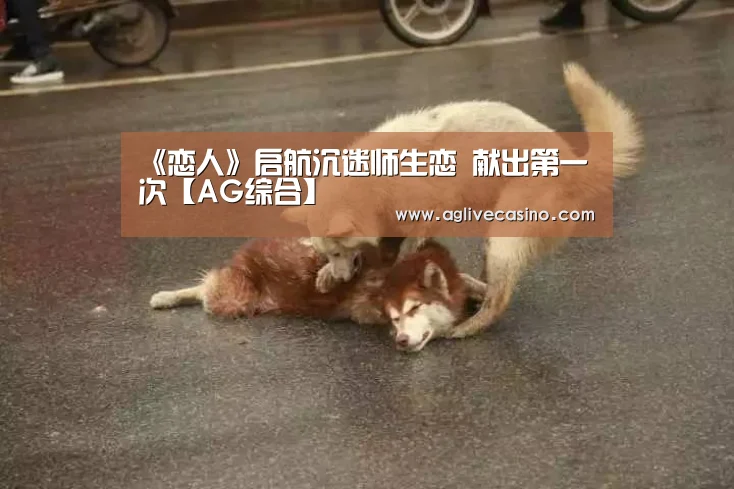 AG综合