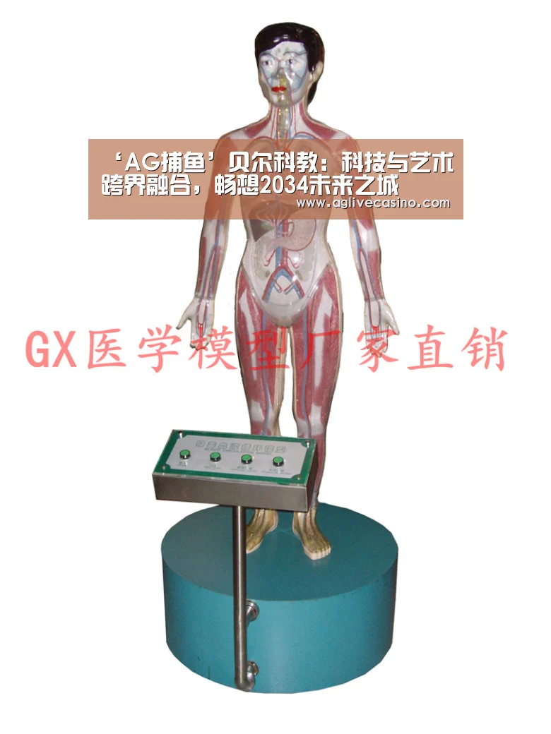 AG棋牌