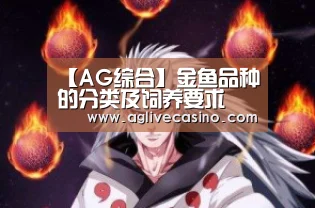 AG直达