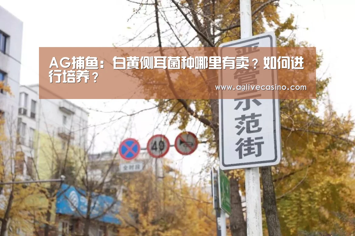 AG捕鱼