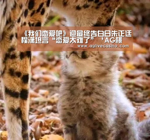 AG直达