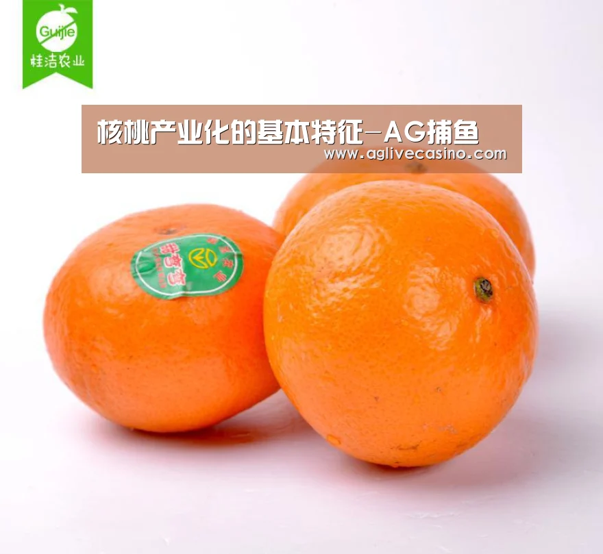 AG棋牌