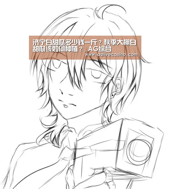 济宁白甜瓜多少钱一斤?秋季大棚白甜瓜该如何种植?_AG综合(图1) AG综合