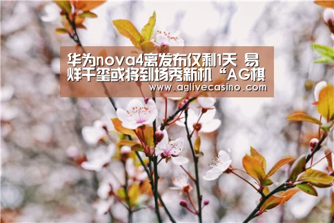 AG捕鱼