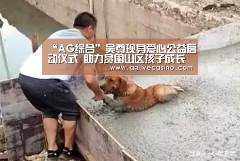 “AG综合”吴尊现身爱心公益启动仪式 助力贫困山区孩子成长健康(图4) AG捕鱼