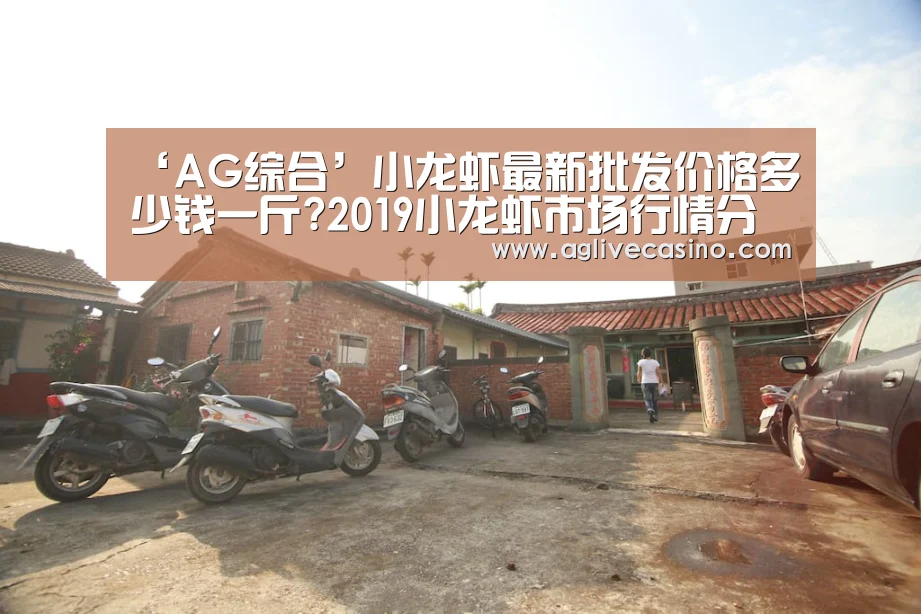 ‘AG综合’小龙虾最新批发价格多少钱一斤?2019小龙虾市场行情分析(图1) AG综合