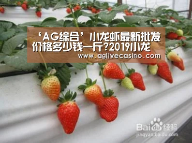 ‘AG综合’小龙虾最新批发价格多少钱一斤?2019小龙虾市场行情分析(图2) AG综合