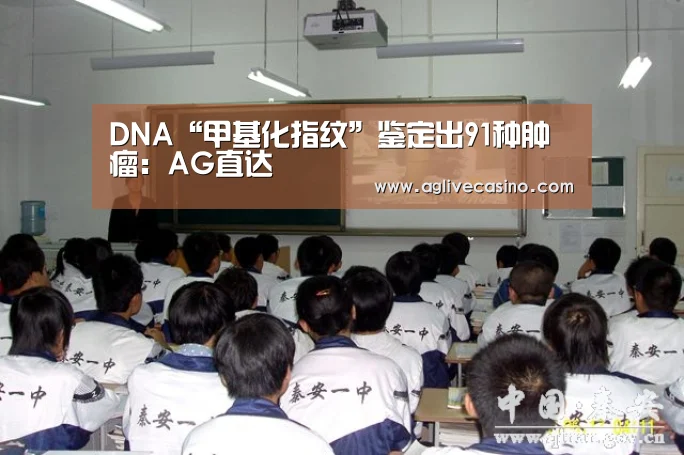 DNA“甲基化指纹”鉴定出91种肿瘤:AG直达(图4) AG综合
