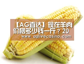 AG棋牌