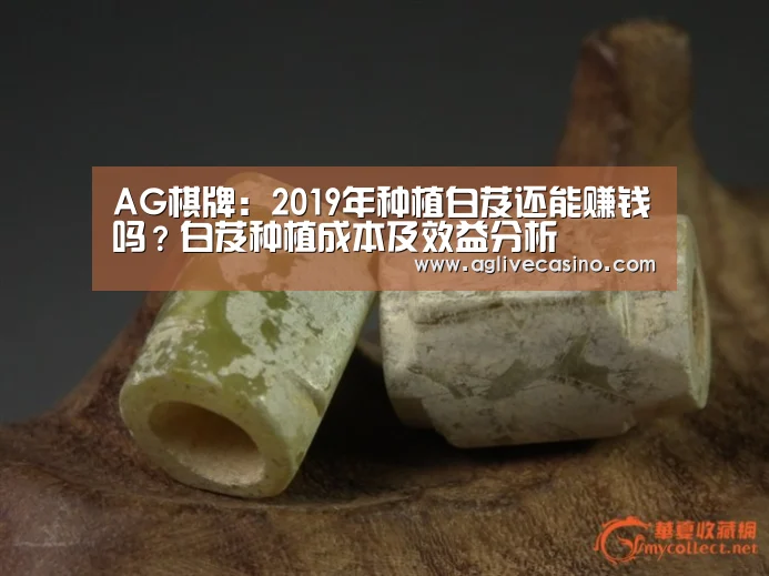 AG棋牌:2019年种植白芨还能赚钱吗?白芨种植成本及效益分析(图1) AG直达
